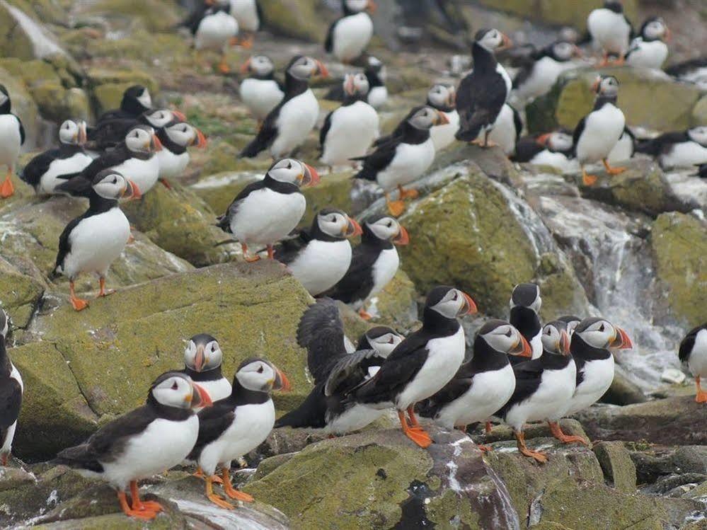Farne Island Rooms Seahouses Exterior foto