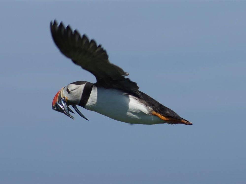 Farne Island Rooms Seahouses Exterior foto